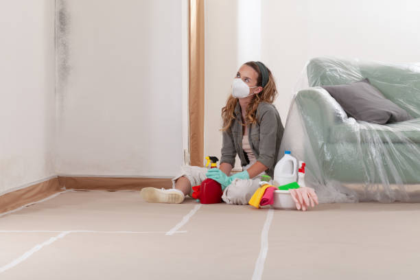 Reliable Mold Cleanup contractor in Harbert, MI by Cheap Mold Removal